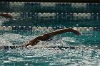 Swimming vs Babson  Wheaton College Swimming vs Babson College. - Photo By: KEITH NORDSTROM : Wheaton, Swimming, Babson